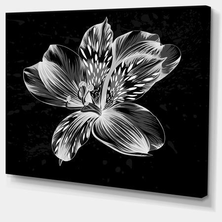 Beautiful Monochrome Alstroemeria Flower - Extra Large Floral Wall Art