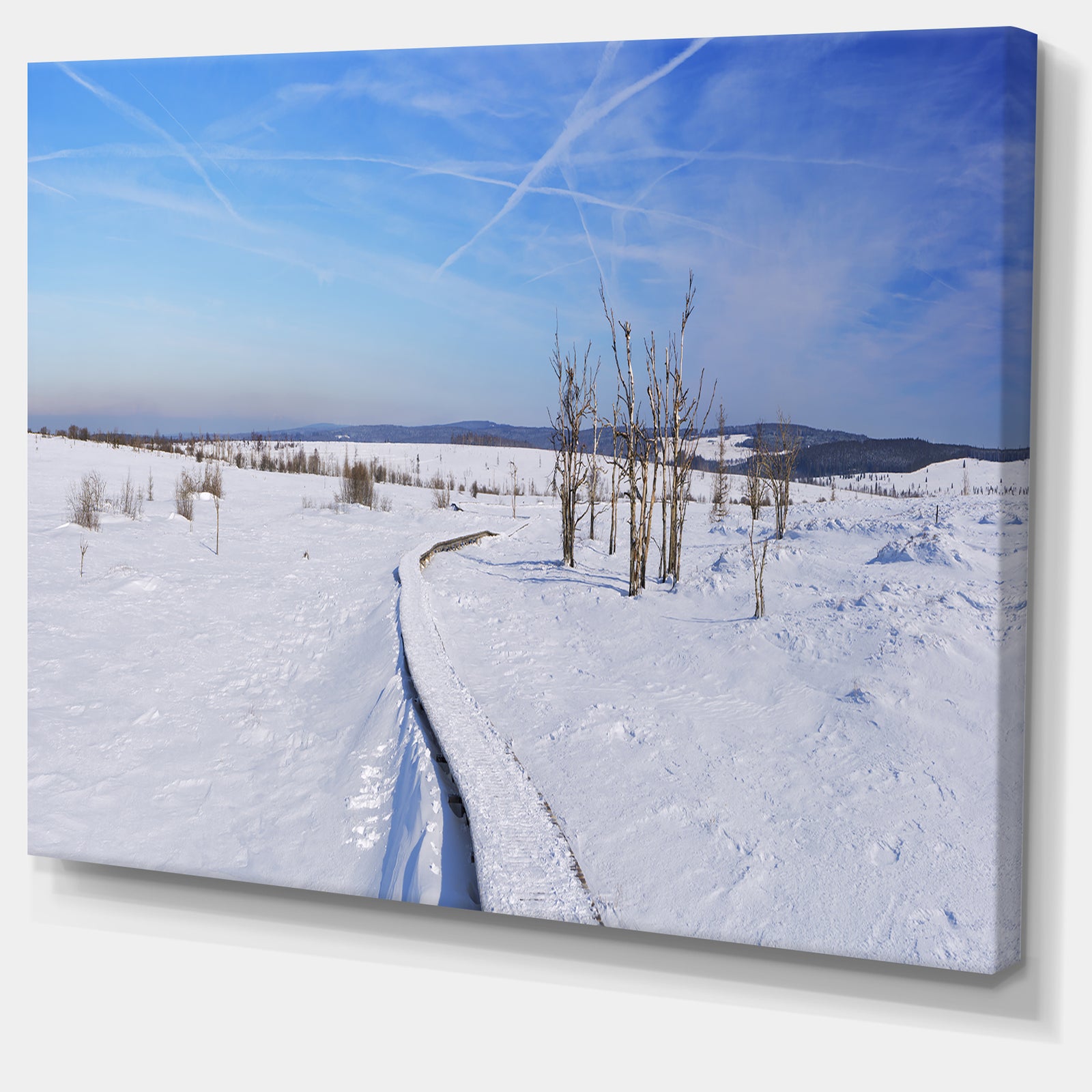 Hautes Fagnes in Belgium Panorama - Modern Seashore Canvas Wall Art