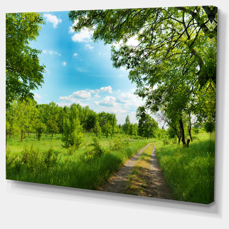 Green Forest Road and Blue Sky - Modern Landscape Canvas Art