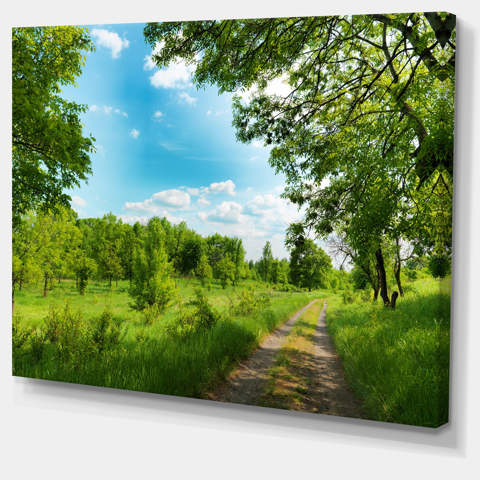 Green Forest Road and Blue Sky - Modern Landscape Canvas Art