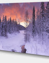 Finnish Lapland Trees in Winter - Landscape Wall Art on Canvas