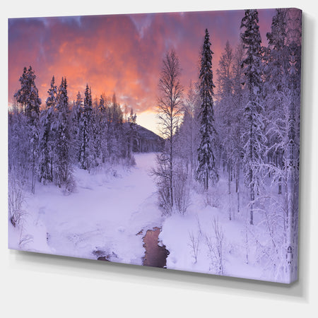 Finnish Lapland Trees in Winter - Landscape Wall Art on Canvas