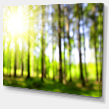 Green Bokeh in the Forest - Landscape Wall Art on Canvas