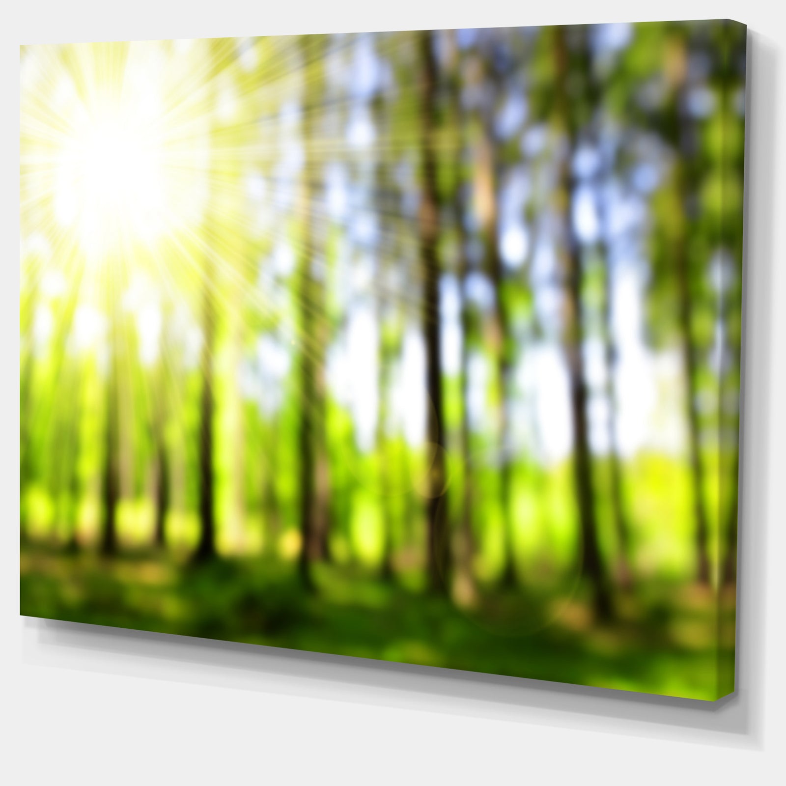 Green Bokeh in the Forest - Landscape Wall Art on Canvas