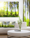 Green Bokeh in the Forest - Landscape Wall Art on Canvas