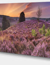 Blooming Heather at Dawn Panorama - Landscape Wall Art on Canvas