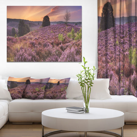 Blooming Heather at Dawn Panorama - Landscape Wall Art on Canvas