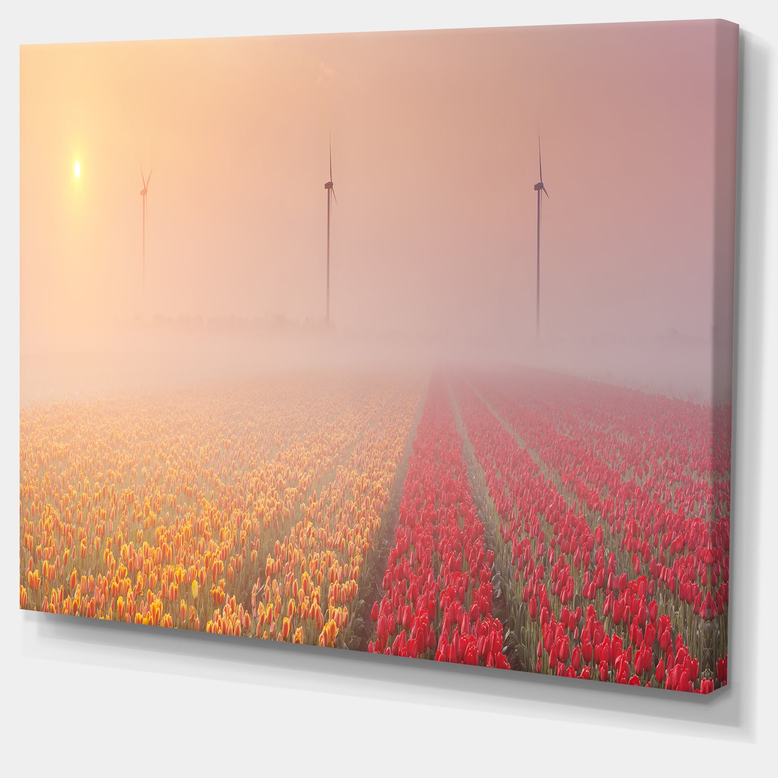 Sun over Blooming Lake Panorama - Landscape Wall Art on Canvas