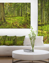 Lush Rainforest in Cathedral Grove - Landscape Wall Art on Canvas