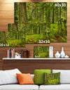 Lush Rainforest in Cathedral Grove - Landscape Wall Art on Canvas