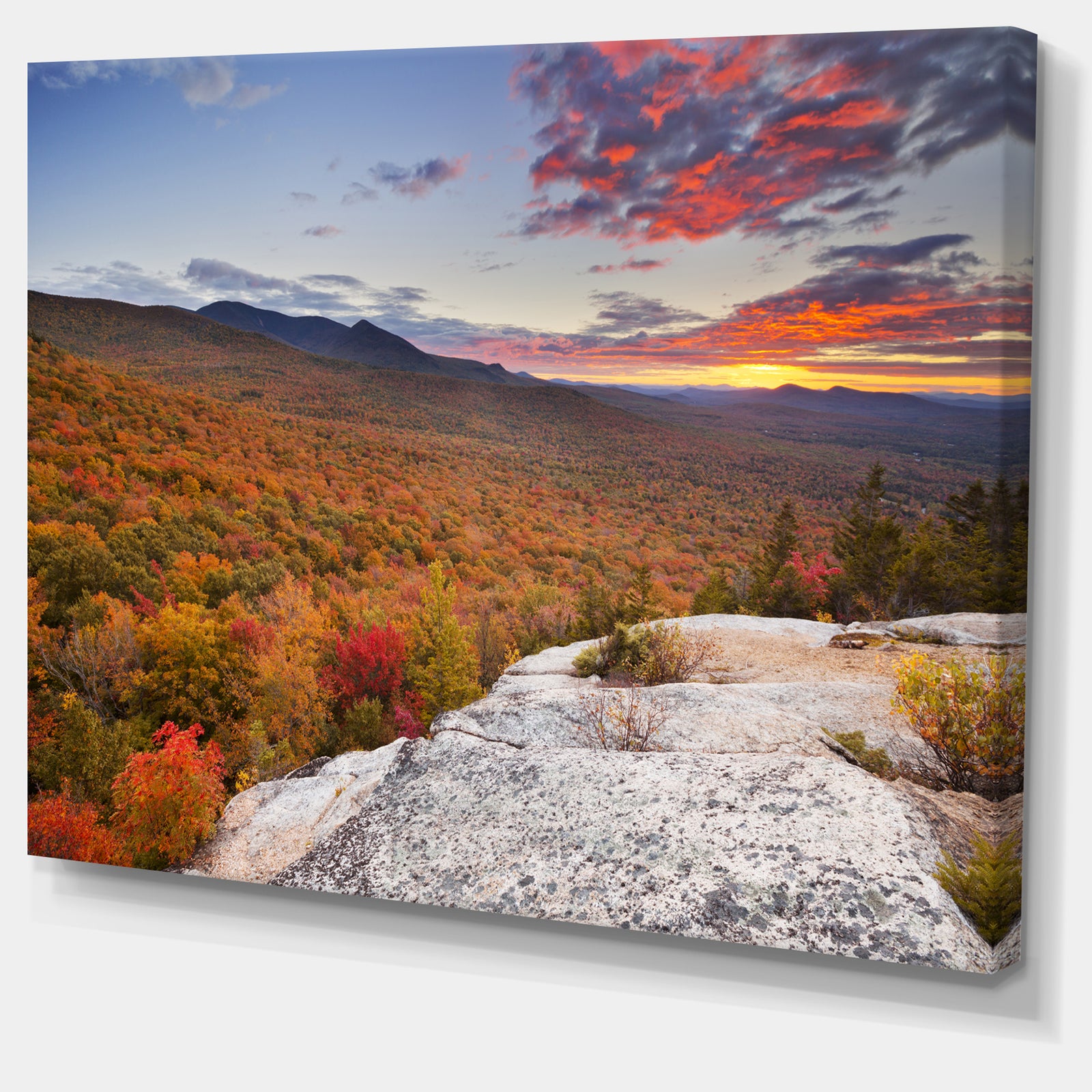 Endless Forests in Fall Foliage - Landscape Wall Art on Canvas
