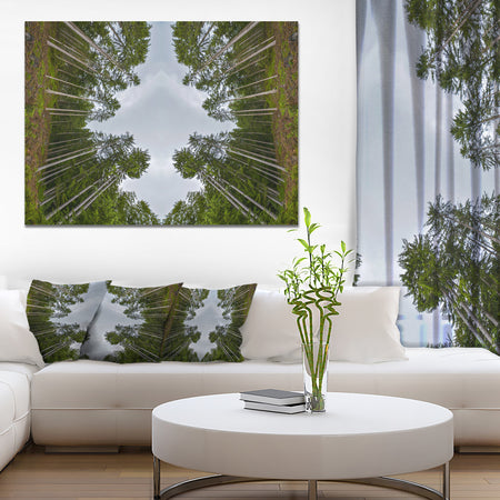 Circle Composition of Coniferous Trees - Landscape Wall Art on Canvas