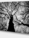 Hoto of Winter Branches - Landscape Wall Art on Canvas