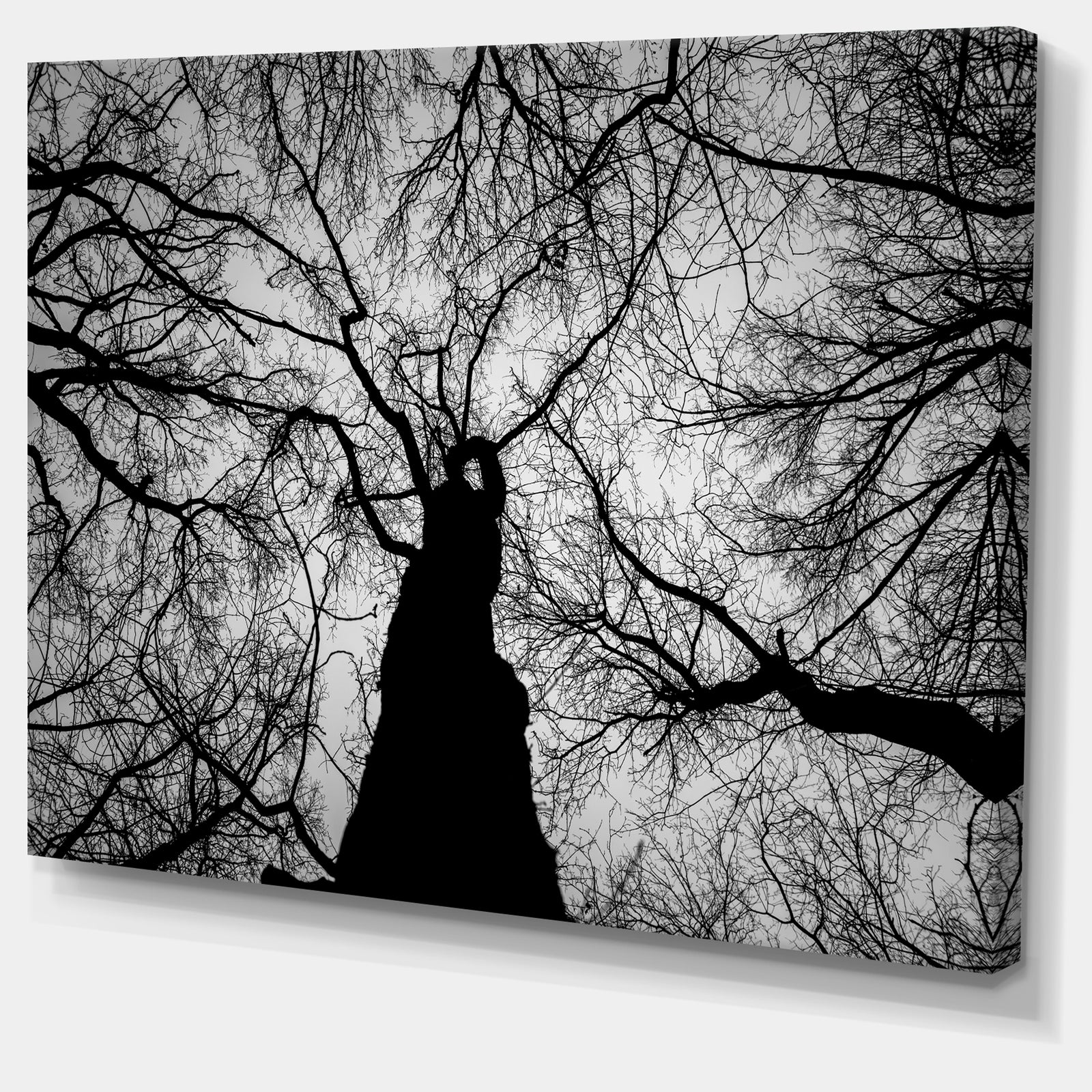 Hoto of Winter Branches - Landscape Wall Art on Canvas