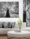 Hoto of Winter Branches - Landscape Wall Art on Canvas