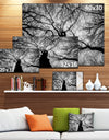 Hoto of Winter Branches - Landscape Wall Art on Canvas