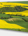 Rapeseed Fields and Green Wheat - Modern Landscpae Wall Art