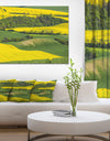 Rapeseed Fields and Green Wheat - Modern Landscpae Wall Art