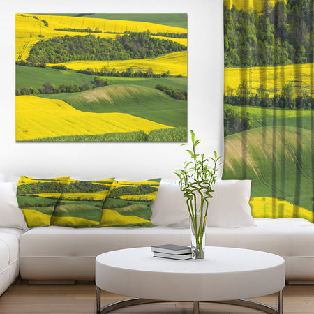 Rapeseed Fields and Green Wheat - Modern Landscpae Wall Art