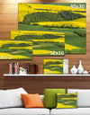 Rapeseed Fields and Green Wheat - Modern Landscpae Wall Art