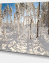 Winter Snow Covered Wood - Modern Landscpae Wall Art