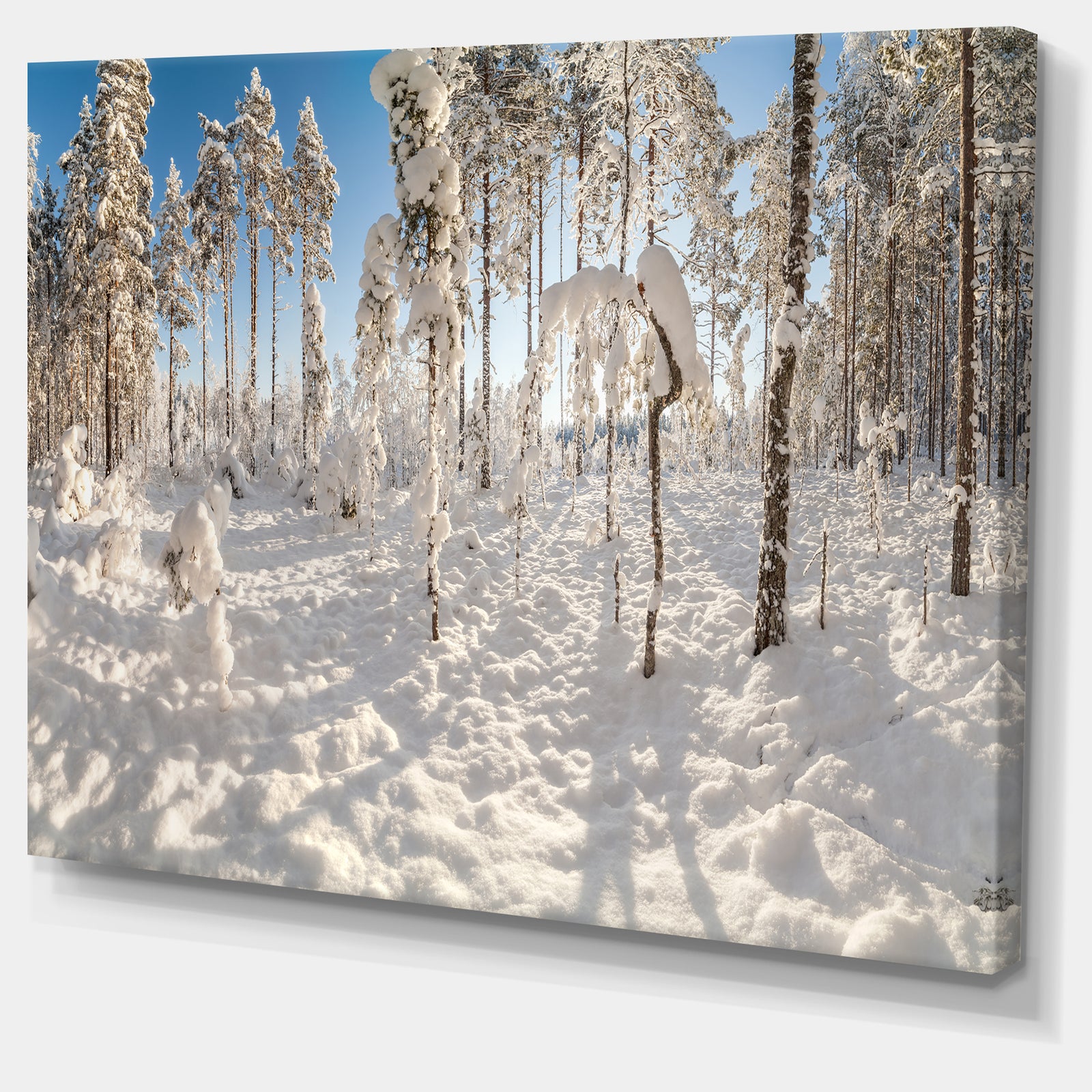 Winter Snow Covered Wood - Modern Landscpae Wall Art