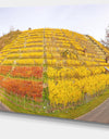 Vineyard Panorama in Autumn - Modern Landscpae Wall Art