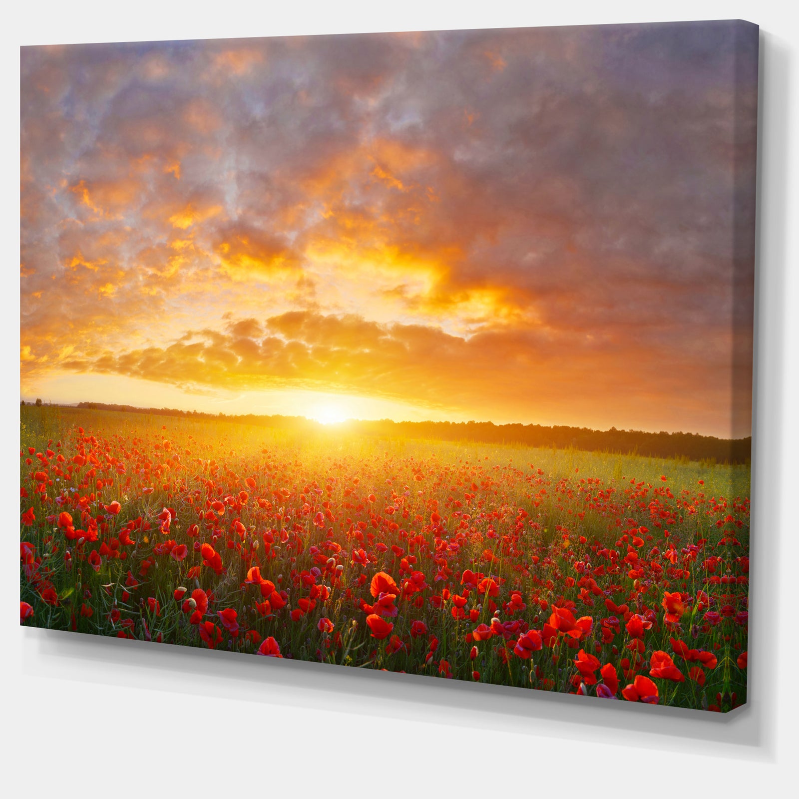 Poppy Field under Bright Sunset - Modern Landscpae Wall Art