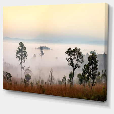 Misty Morning Panorama - Modern Landscpae Wall Art