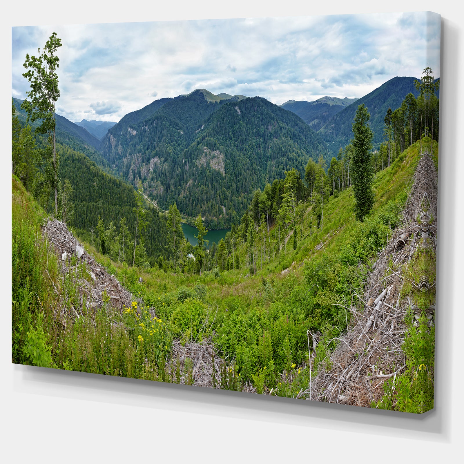 Green Mountains Panorama - Modern Landscpae Wall Art