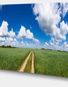 Path in Bright Summer Panorama - Modern Landscpae Wall Art