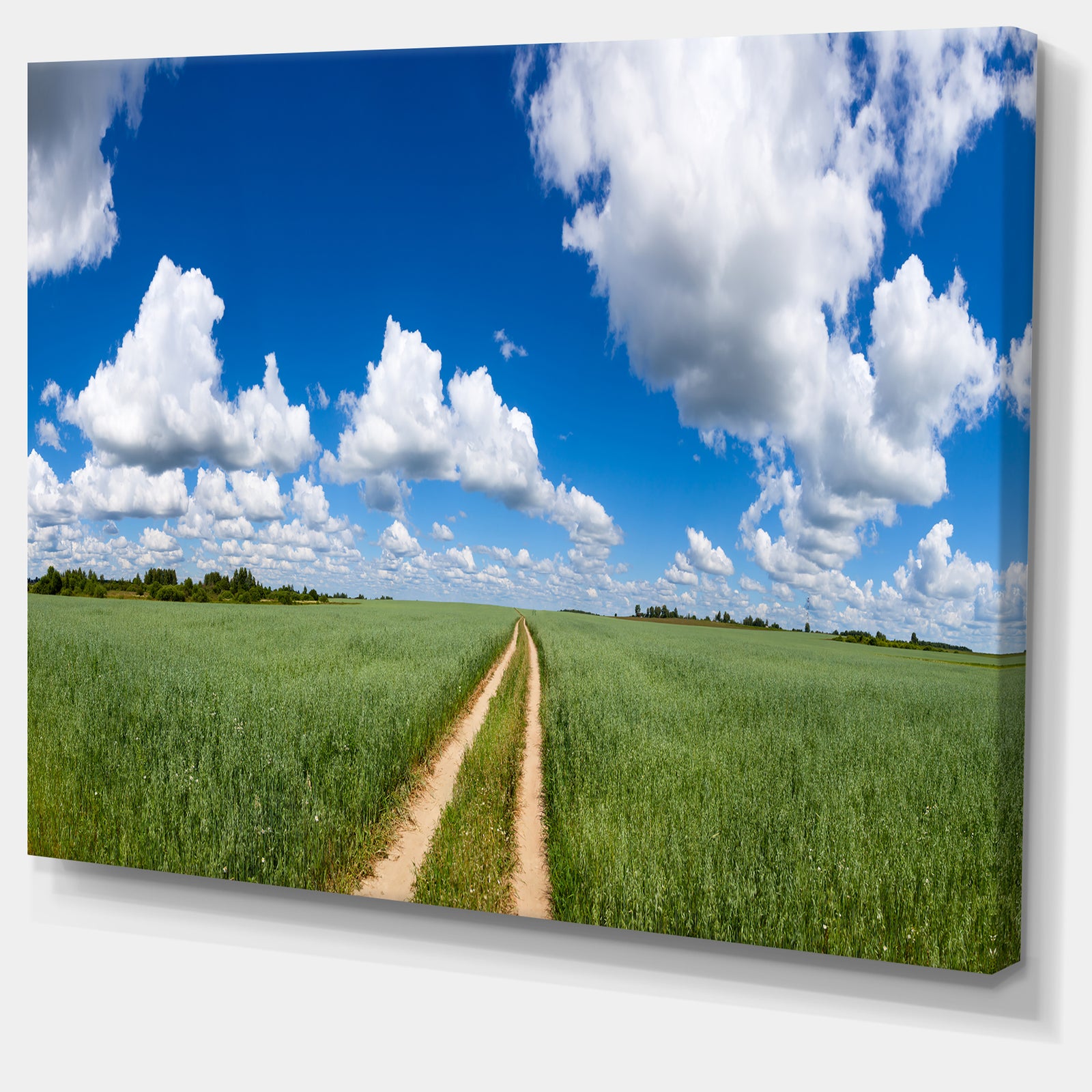 Path in Bright Summer Panorama - Modern Landscpae Wall Art