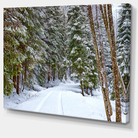 Snowy Road in the Forest - Modern Landscpae Wall Art