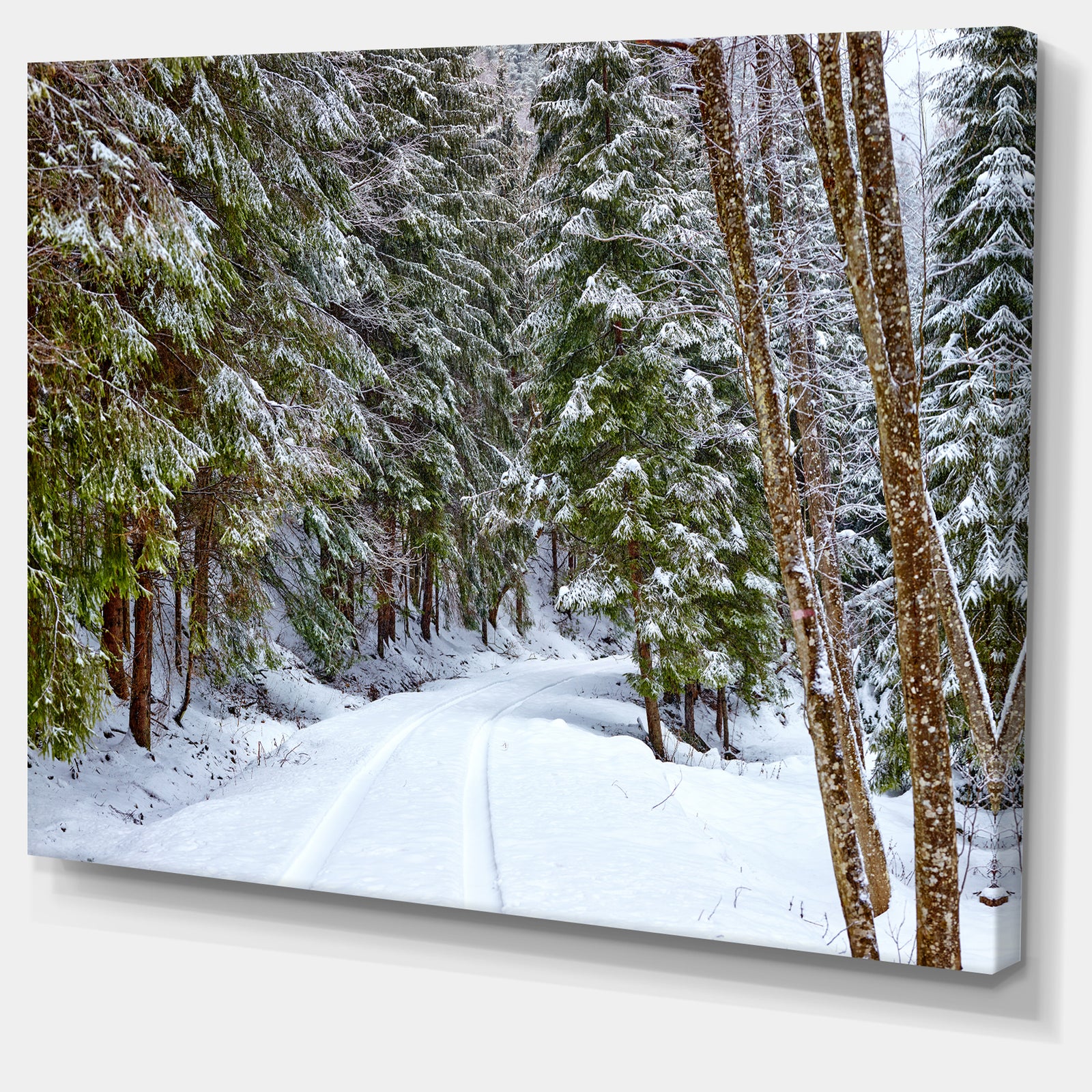 Snowy Road in the Forest - Modern Landscpae Wall Art