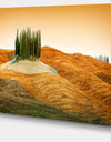 Cypress Grove Panorama - Landscape Canvas Wall Artwork