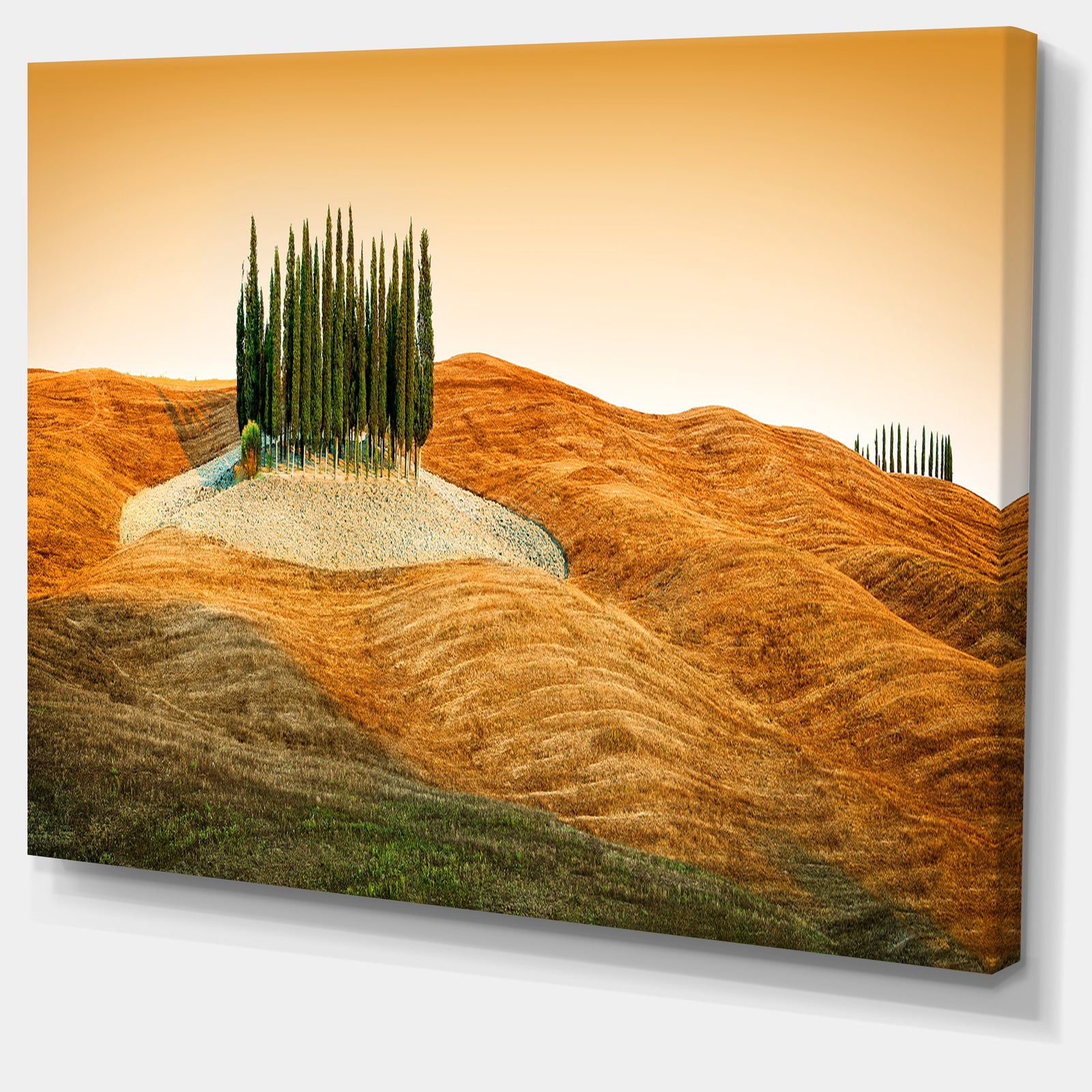 Cypress Grove Panorama - Landscape Canvas Wall Artwork