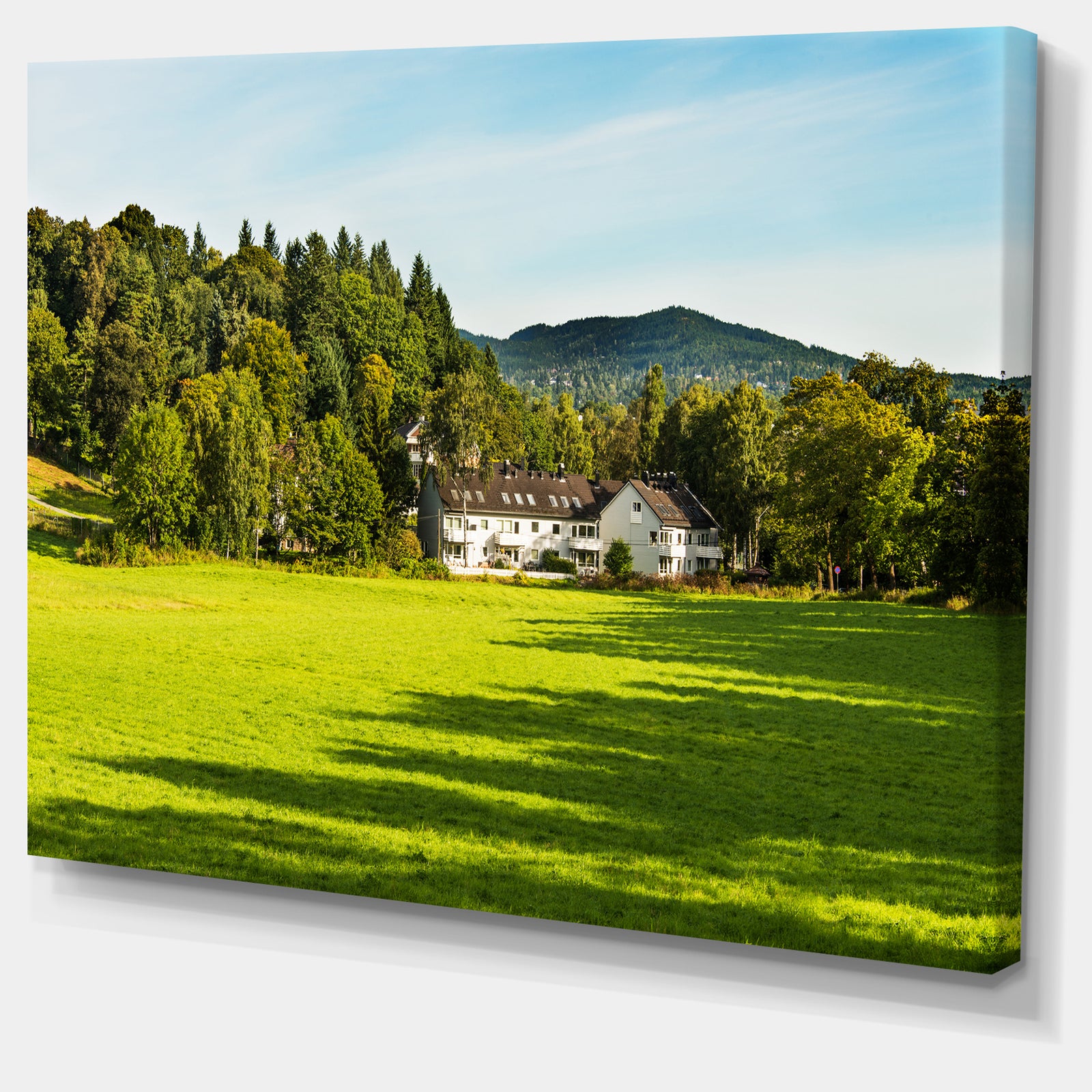 Alone Farmhouse in Meadow - Landscape Canvas Wall Artwork