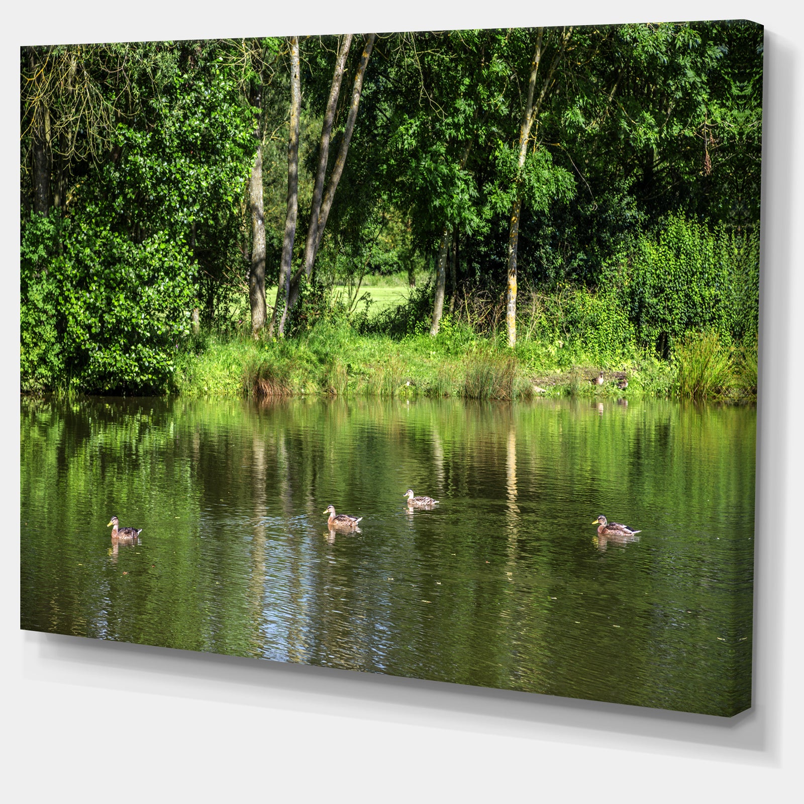 Bushes and Trees in River Bank - Landscape Canvas Wall Artwork
