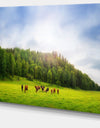 Cows on Field Panorama - Landscape Canvas Wall Artwork