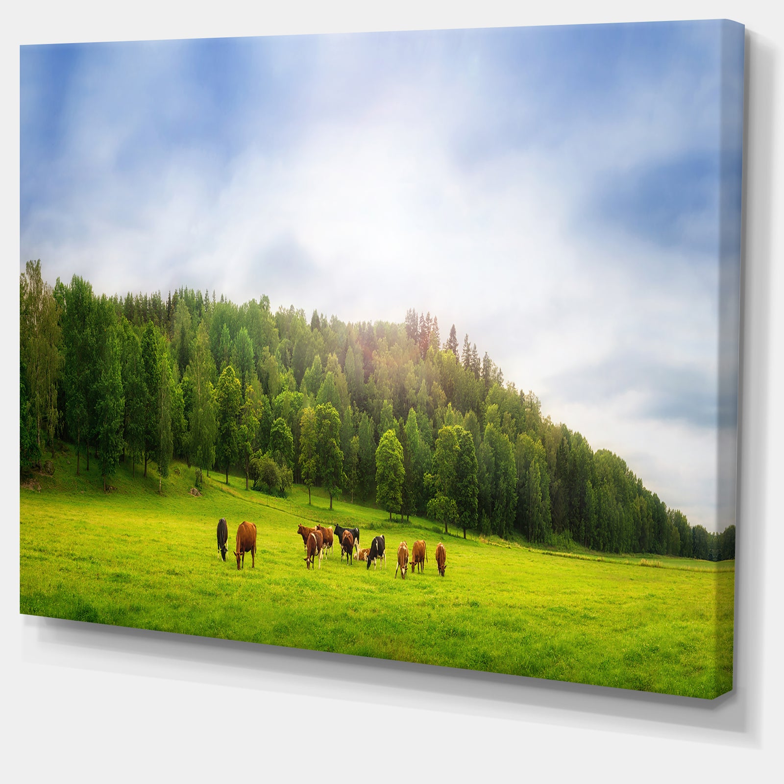 Cows on Field Panorama - Landscape Canvas Wall Artwork