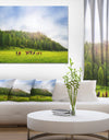 Cows on Field Panorama - Landscape Canvas Wall Artwork