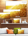 Bright Sunset over Wheat Field - Landscape Canvas Wall Artwork