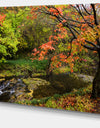 Fall Trees in Bright Colors - Landscape Canvas Wall Artwork