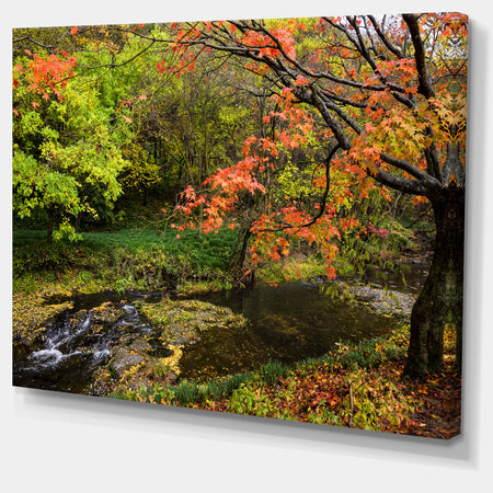 Fall Trees in Bright Colors - Landscape Canvas Wall Artwork