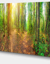 Dense Forest Panorama - Landscape Canvas Wall Artwork