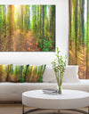 Dense Forest Panorama - Landscape Canvas Wall Artwork