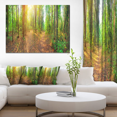 Dense Forest Panorama - Landscape Canvas Wall Artwork