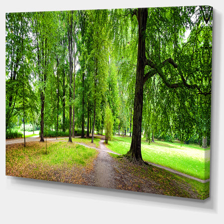 Park in Autumn Panorama - Landscape Canvas Wall Artwork