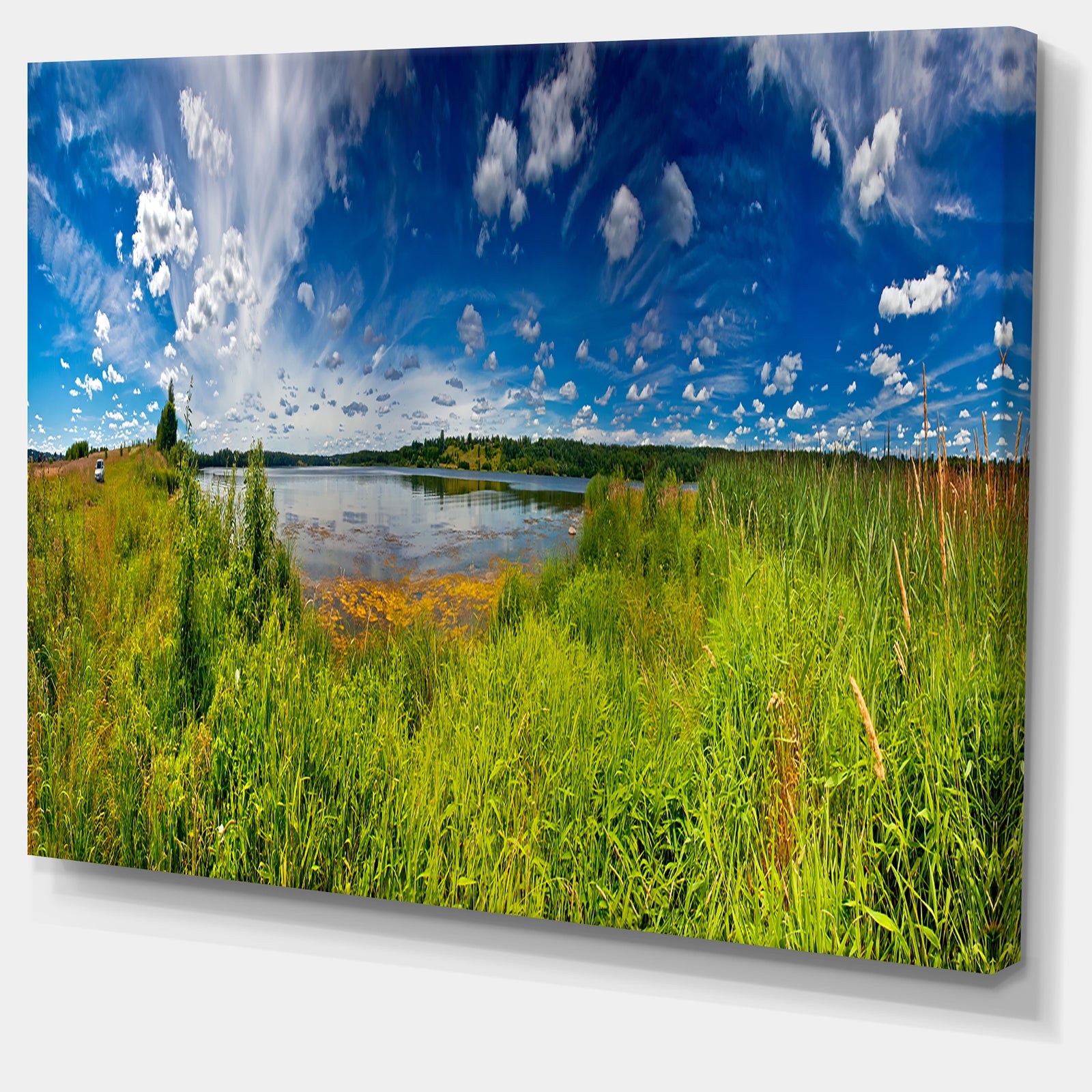 Ideal Summer Meadow Panorama - Landscape Wall Artwork