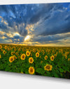 Beauty Sunset over Sunflowers - Landscape Wall Artwork